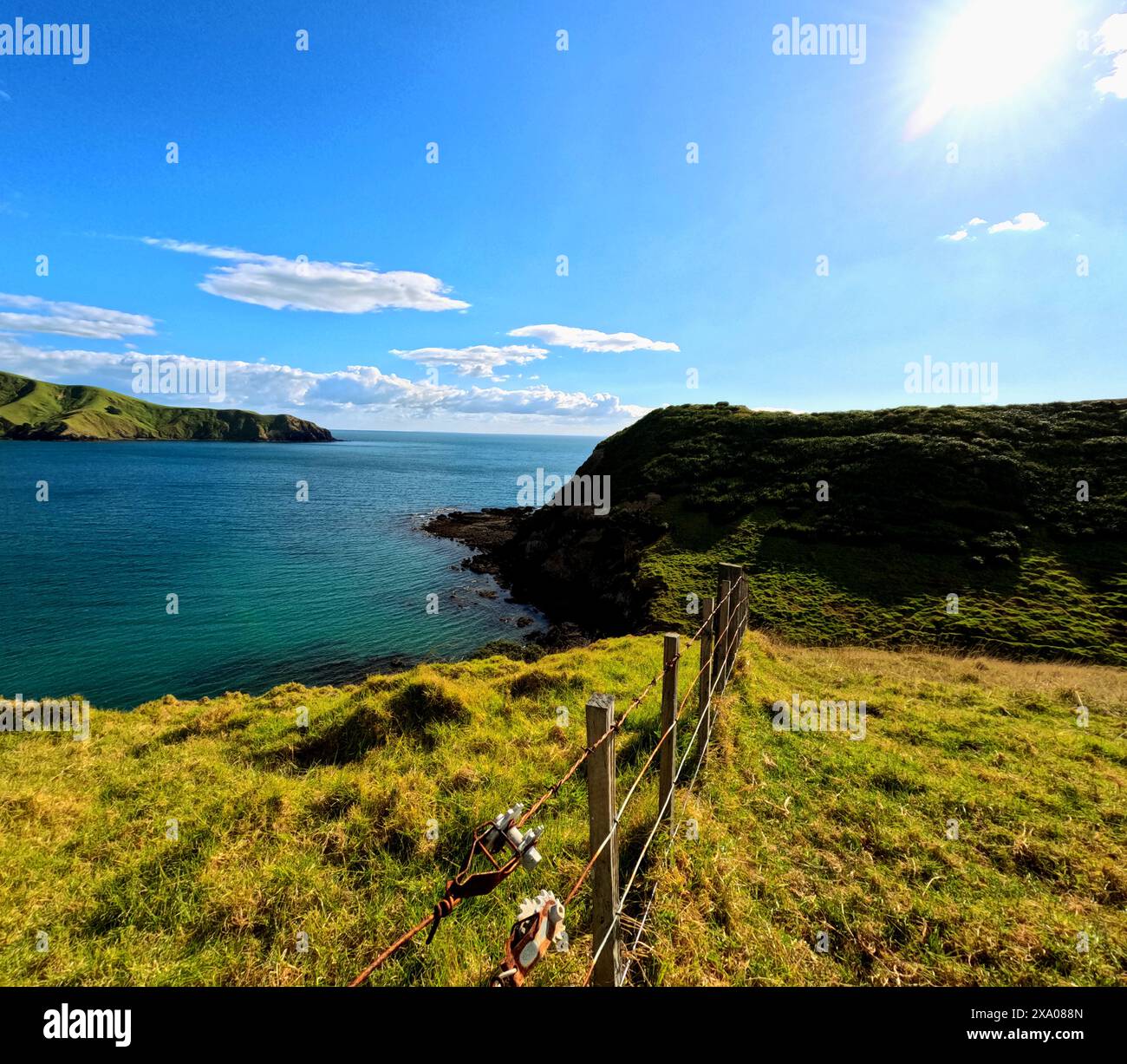 Port Jackson, nuova Zelanda, con vibrazioni da spiaggia Foto Stock