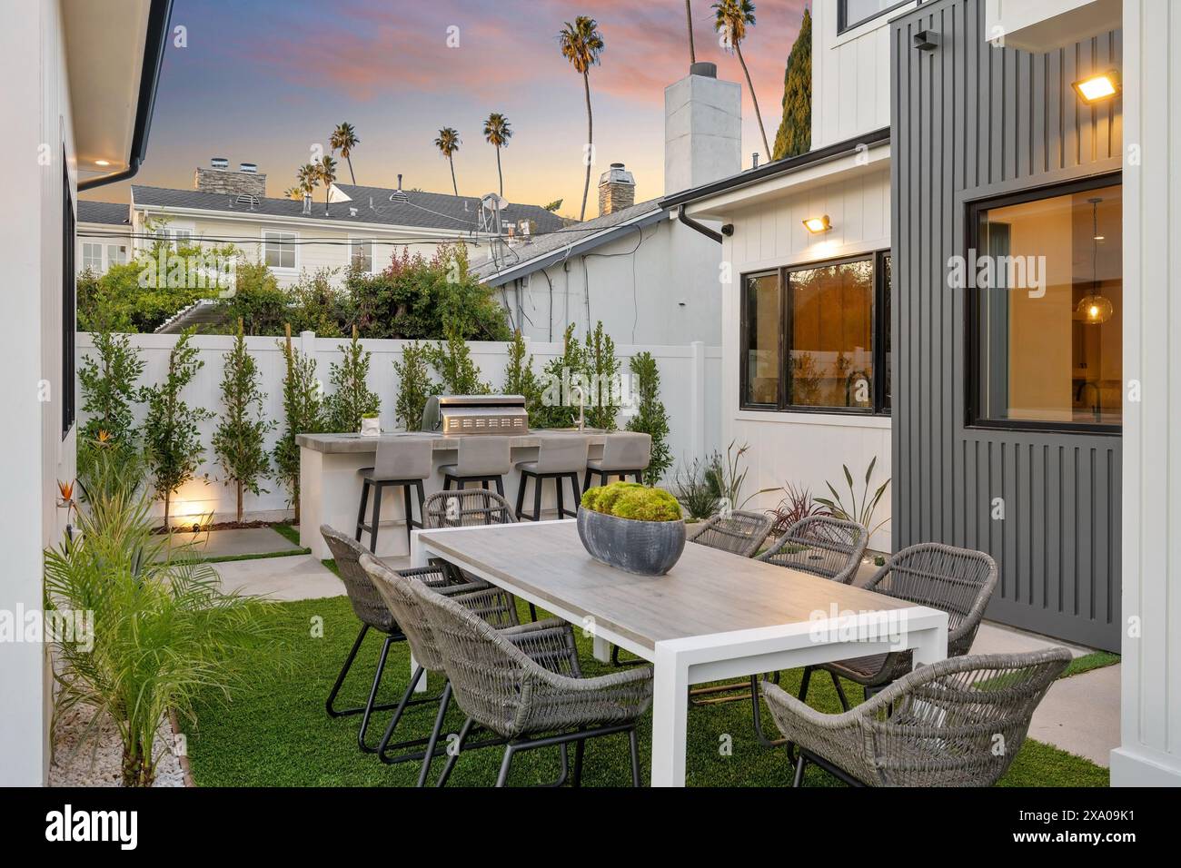 Una pianta in vaso si siede su un tavolo sul retro con sedie Foto Stock