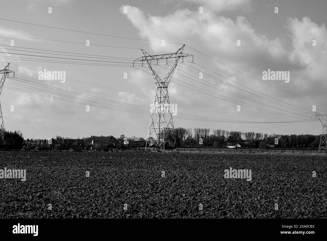 Una scala di grigi di pilone elettrico nel settore agricolo di Borsbeek, Anversa, Belgio Foto Stock