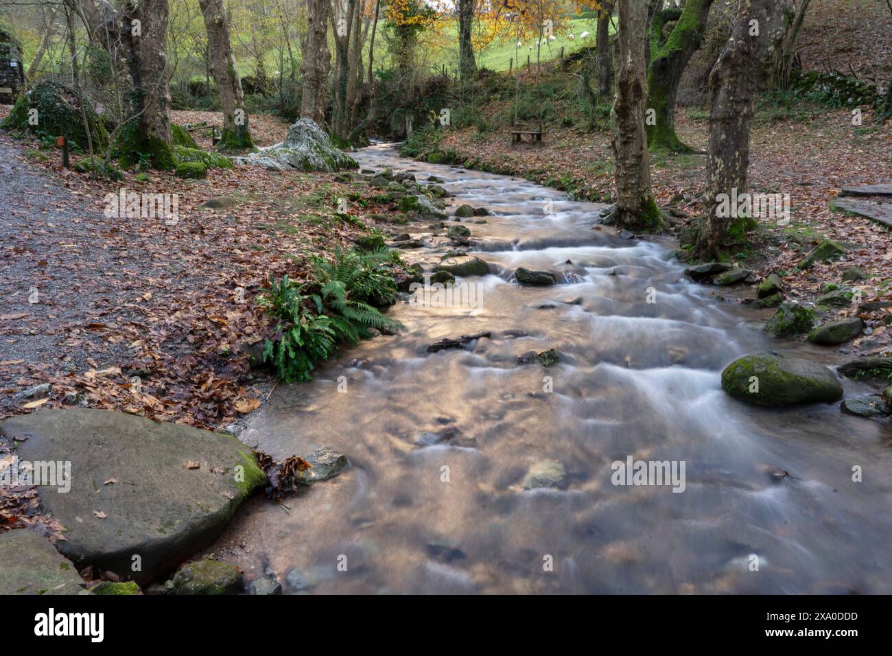 Una fotografia di paesaggio che cattura un ruscello a lunga esposizione, circondato da alberi che spargono le loro foglie autunnali a Zugarramurdi, Navarra Foto Stock