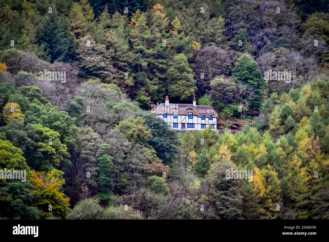 Una bella casa circondata da lussureggianti alberi verdi sul pendio di una montagna in Galles Foto Stock