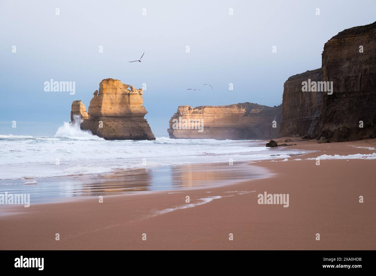 L'alba con gli uccelli a Gibson Beach nella Great Ocean Road in Australia Foto Stock