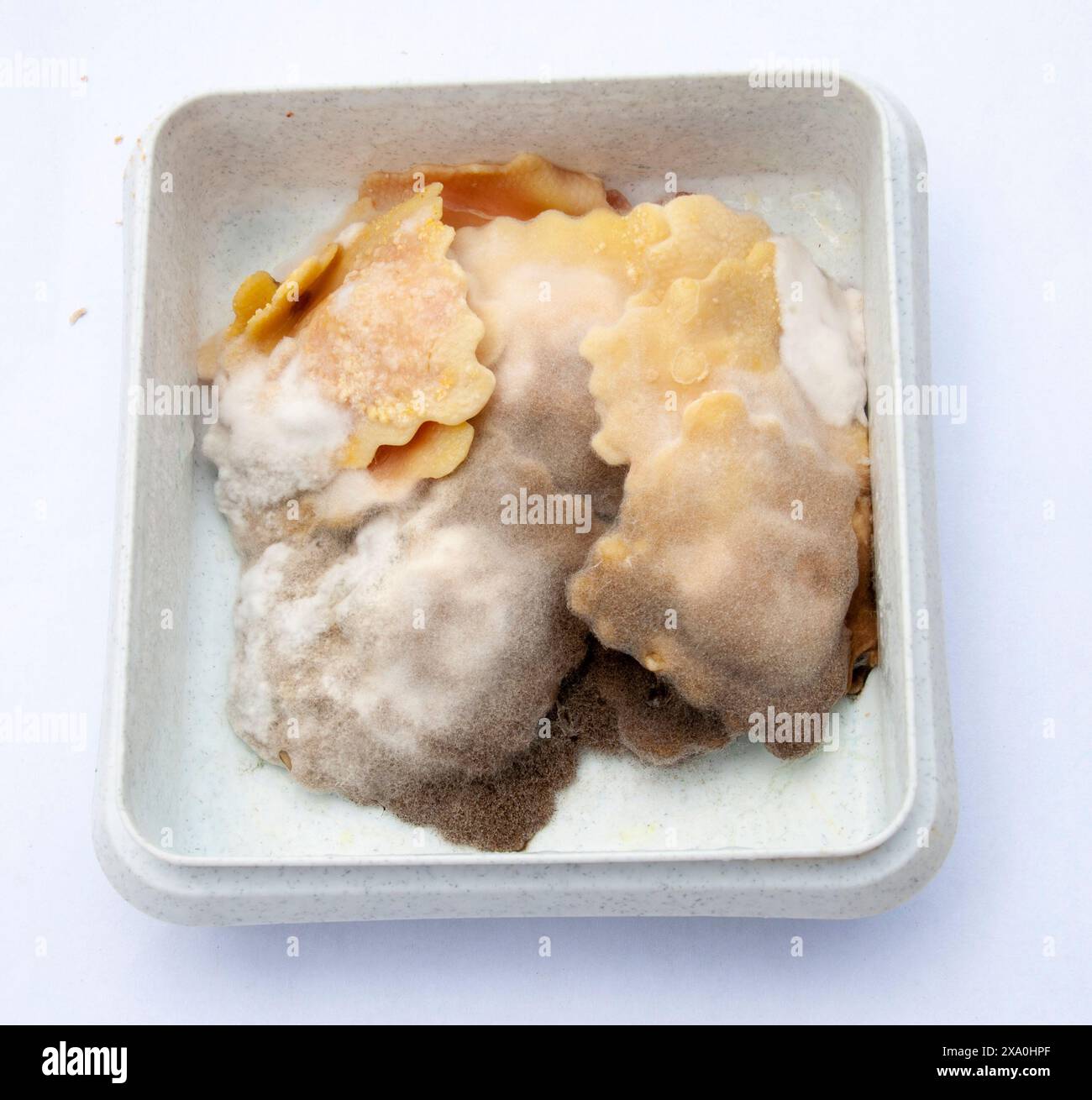 Marcia, decadenza. cibo vecchio pericoloso in un contenitore di plastica Foto Stock