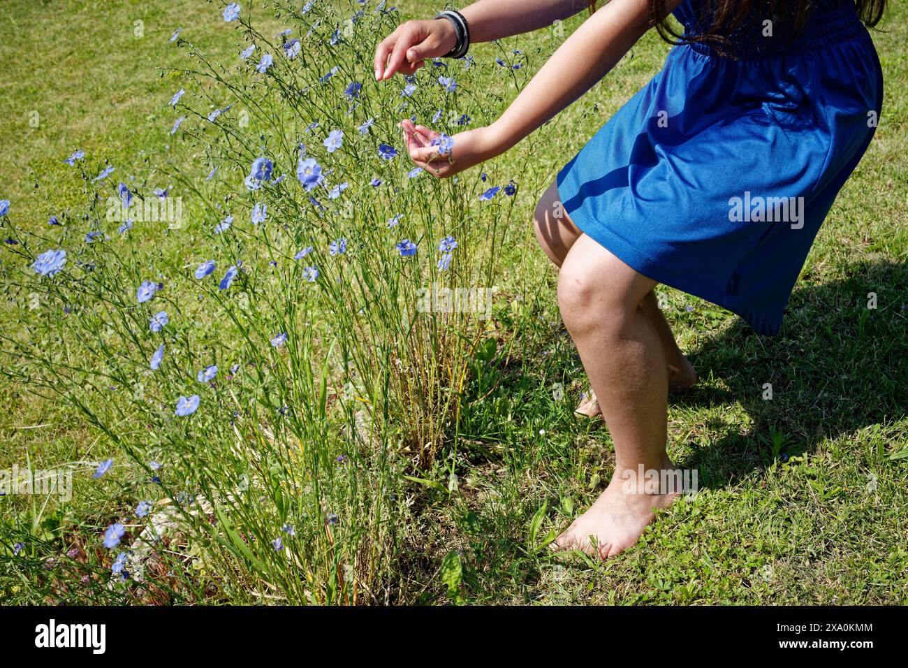 Una ragazza che raccoglie fiori blu in un prato verde. Germania meridionale Foto Stock