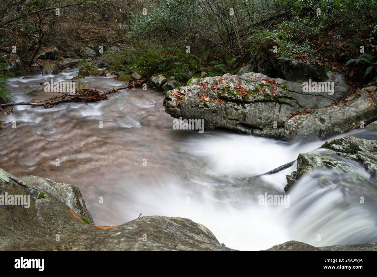 Una vista ravvicinata di un piccolo torrente catturato in una lunga esposizione, con acqua setosa che cade sulle pietre in mezzo all'ambiente autunnale. Navarra. Foto Stock