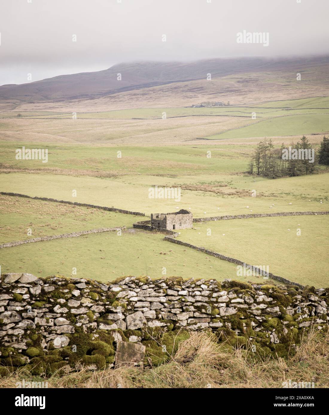 Appende nebbia sulle colline e nella campagna intorno a Malham Dale, nelle Yorkshire Dales. Foto Stock