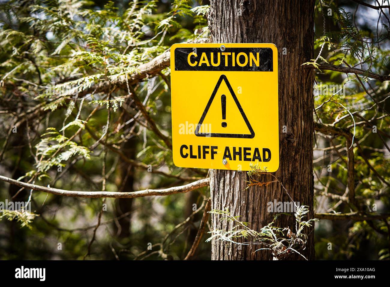 Un cartello con la scritta "Caution Cliff ahead" (attenzione scogliera) su un albero di cedro su un sentiero nella foresta Foto Stock