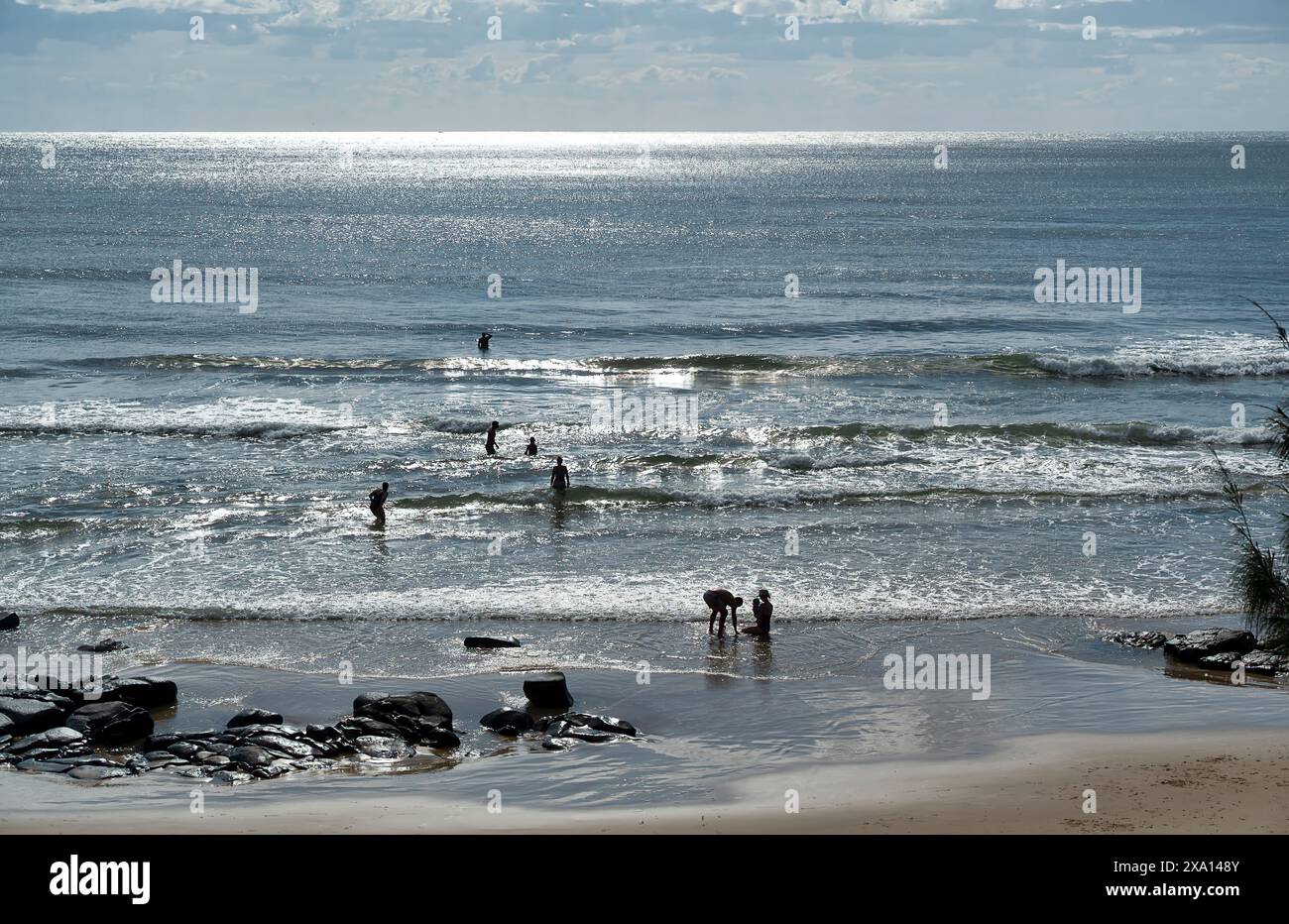 Un gruppo di individui che si trovano in acque poco profonde vicino al litorale e alla sabbia in Australia Foto Stock