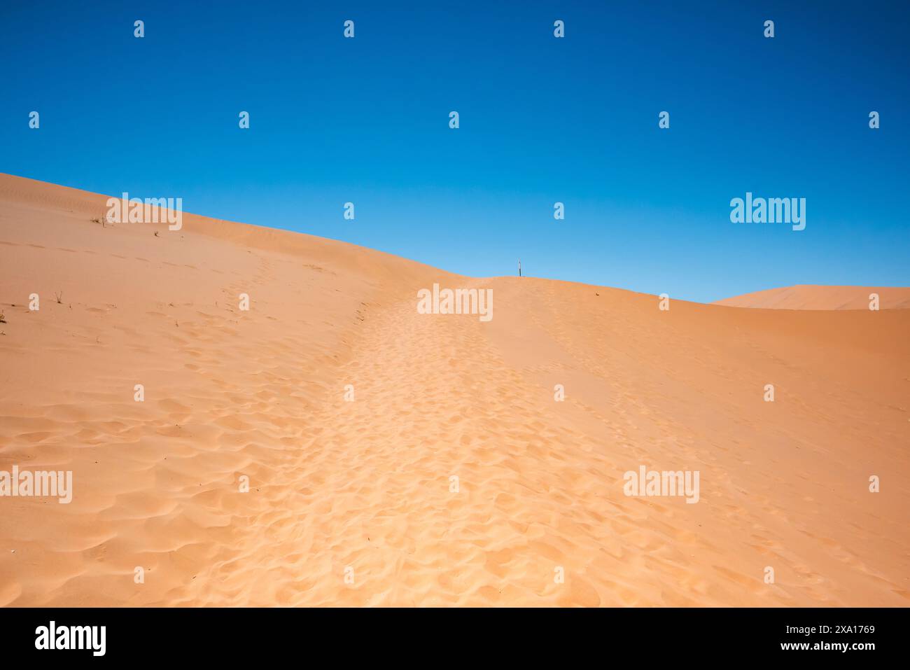 Una vista panoramica di una duna di sabbia del deserto ricoperta di orme. Foto Stock