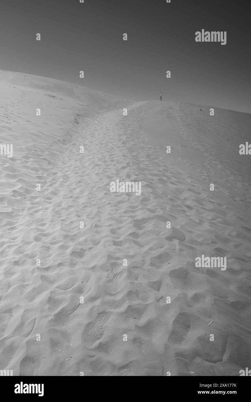 Una vista in scala di grigi di una duna sabbiosa del deserto ricoperta di impronte. Foto Stock