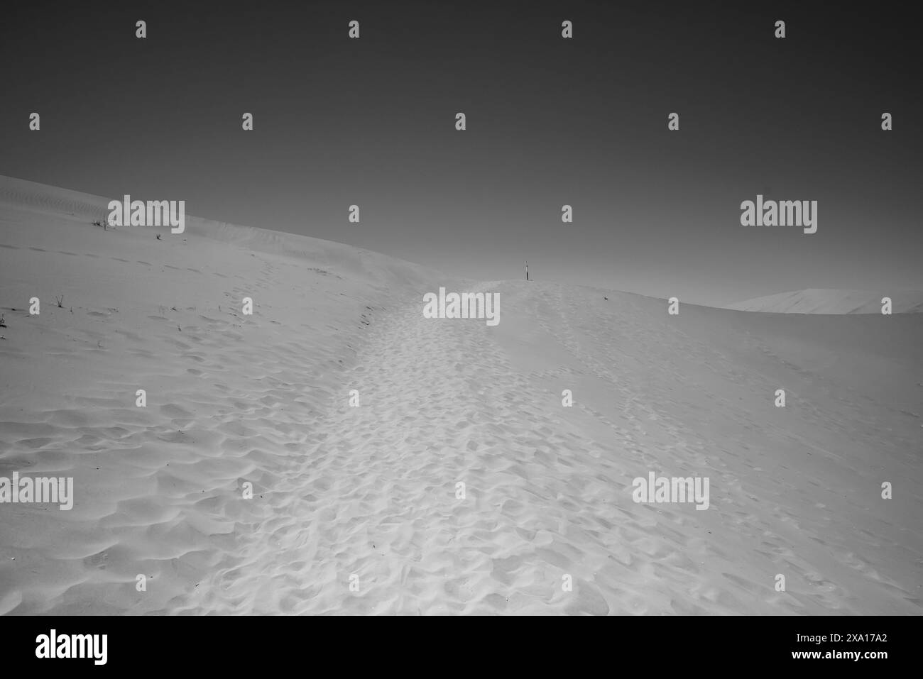 Una vista in scala di grigi di una duna sabbiosa del deserto ricoperta di impronte. Foto Stock