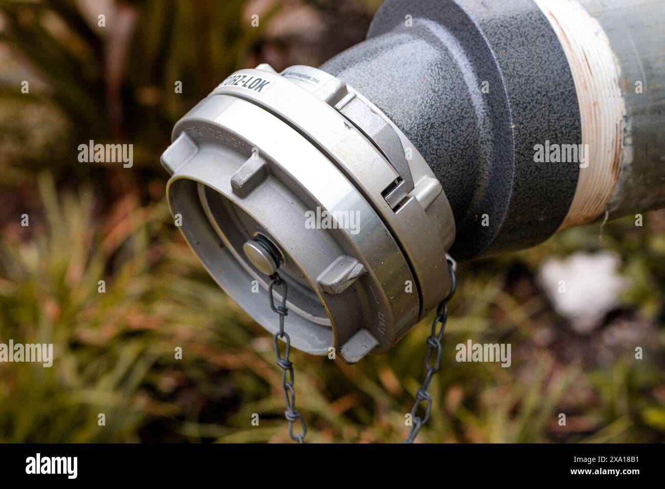 Primo piano di un tubo dell'acqua in un ambiente naturale Foto Stock