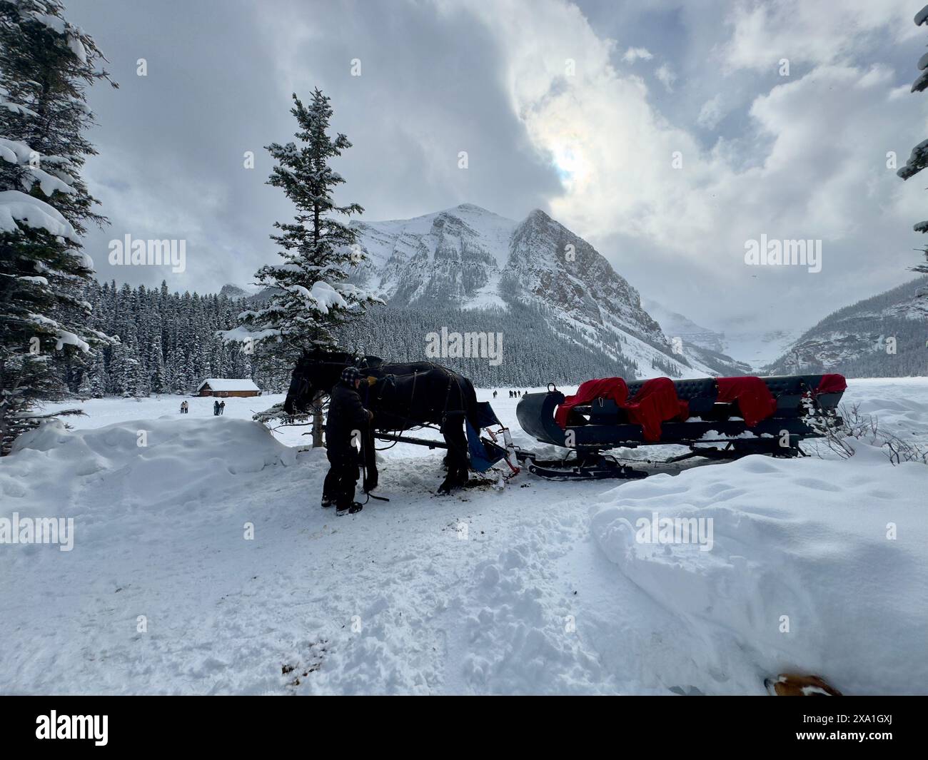 Un'immagine di slitta trainata da cavalli Foto Stock