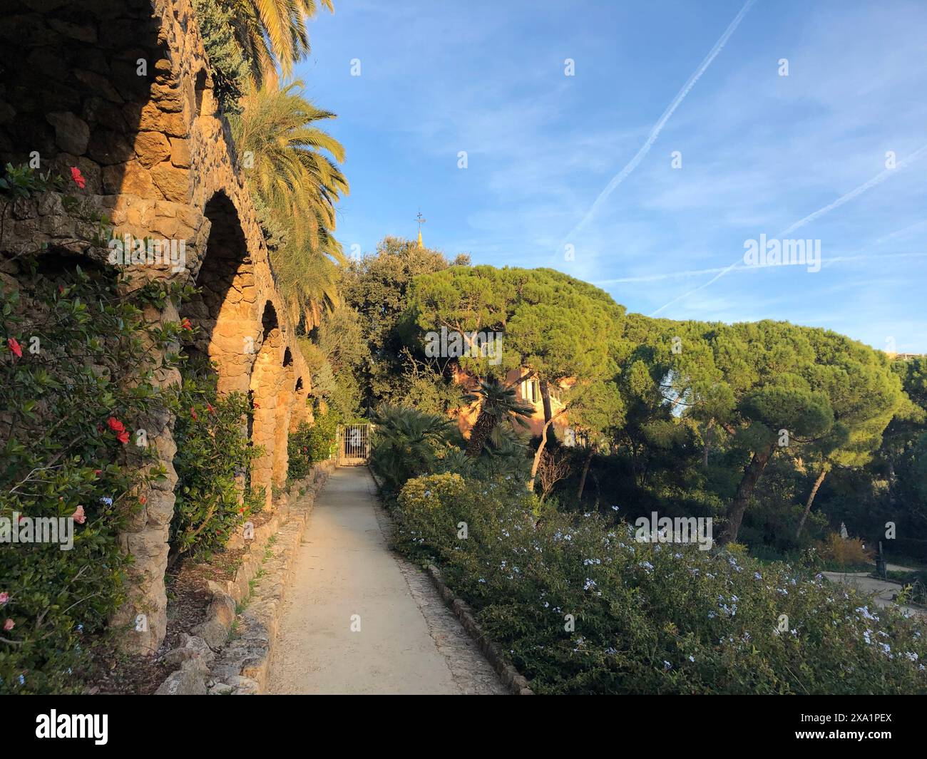 Un affascinante sentiero incorniciato da alberi verdi nel Parco Guell. Barcellona, Spagna Foto Stock