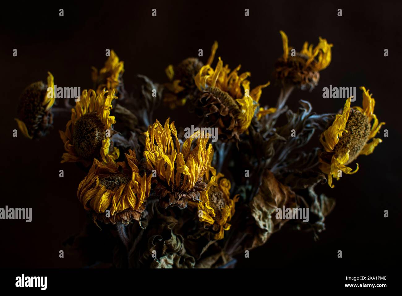 Un minuscolo vaso di vetro regge fiori gialli su un tavolo. Foto Stock