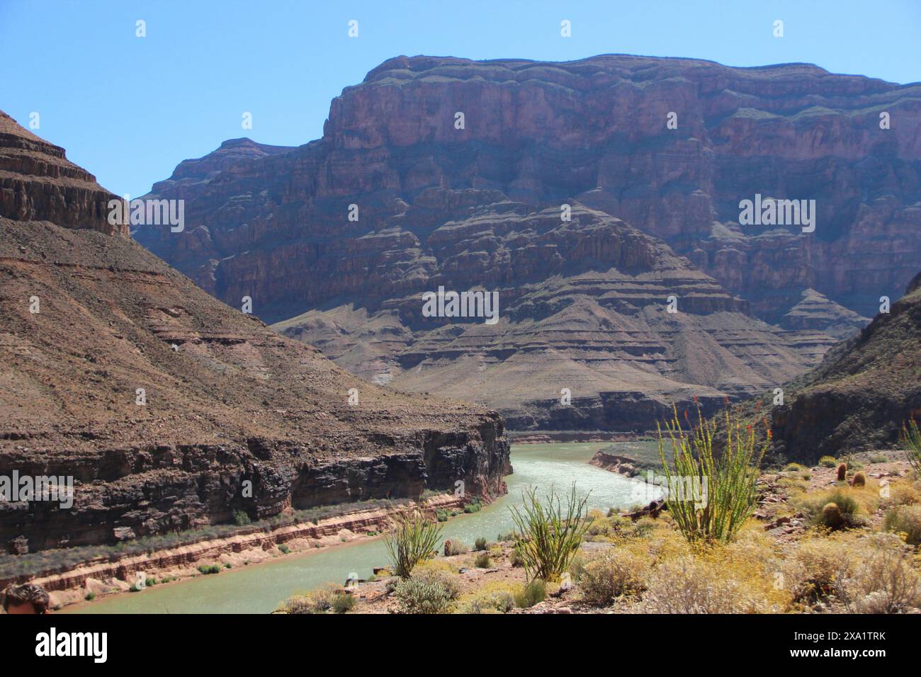 La vista panoramica delle maestose scogliere e del fiume Colorado nel Parco Nazionale del Grand Canyon. Arizona, Stati Uniti Foto Stock