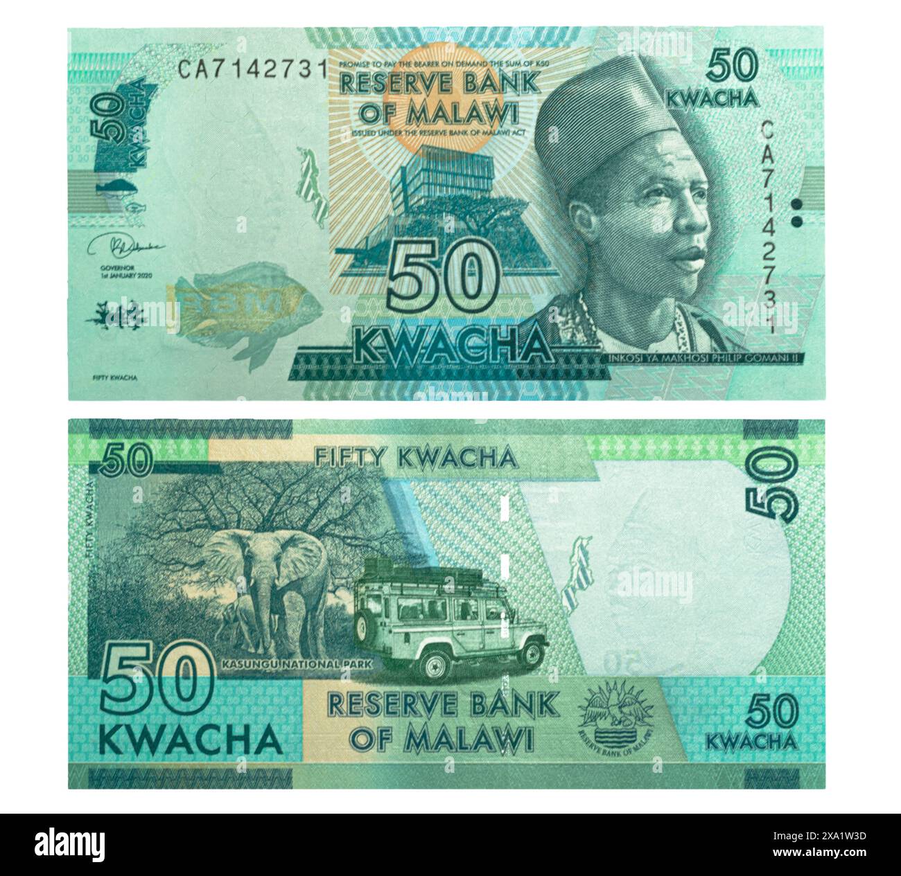 Un primo piano di banconota da 50 kwacha del Malawi Foto Stock