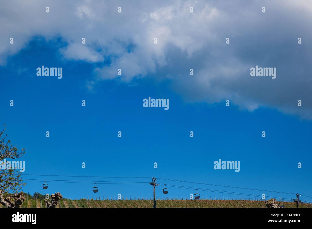 Una funivia a Rudesheim, Germania Foto Stock