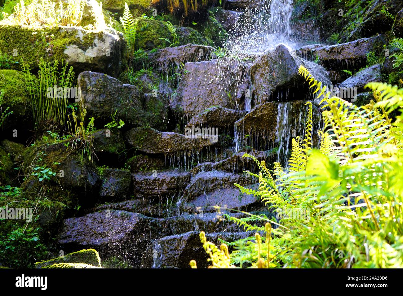 Un ambiente tranquillo all'aperto con una cascata e piante lussureggianti Foto Stock