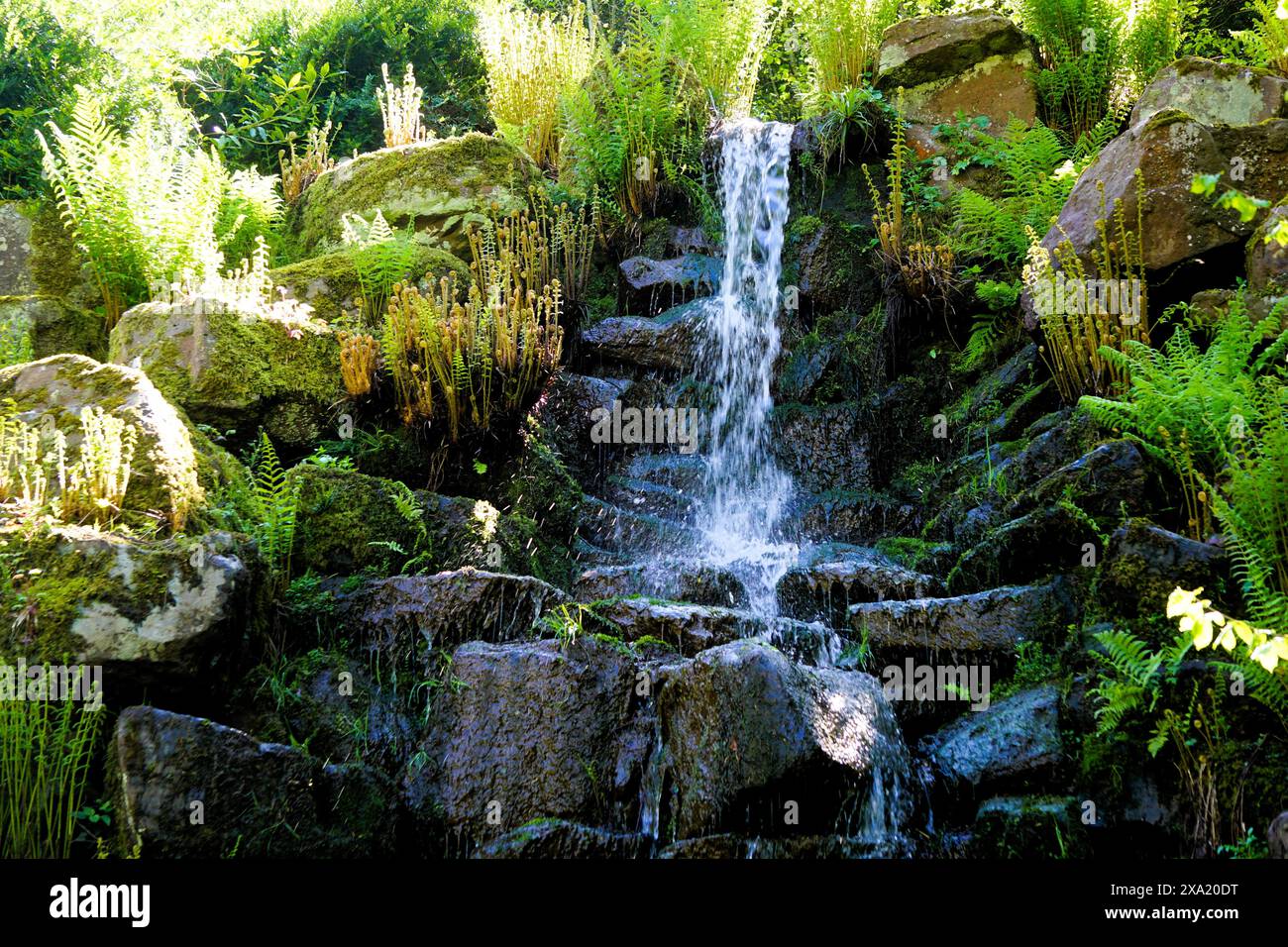 Un ambiente tranquillo all'aperto con una cascata e piante lussureggianti Foto Stock