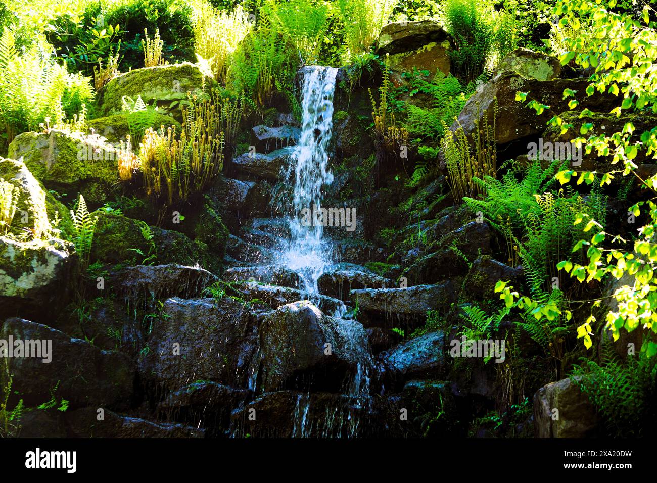 Un ambiente tranquillo all'aperto con una cascata e piante lussureggianti Foto Stock