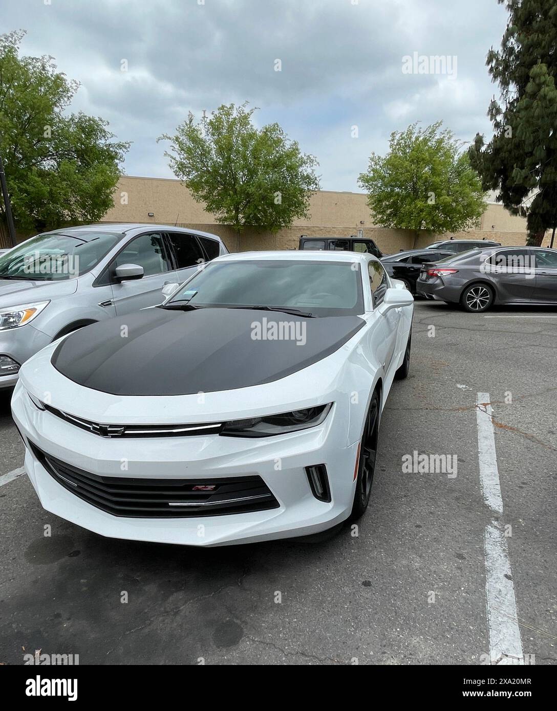 Un'auto sportiva a 2 porte bianca con cappuccio tutto nero parcheggiata nel parcheggio Foto Stock