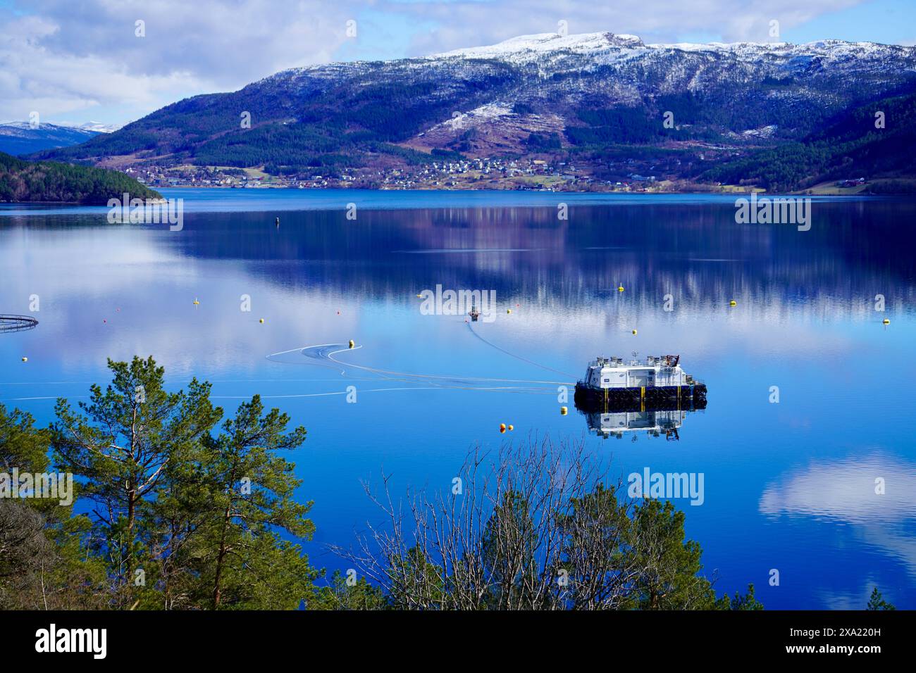 Allevamento ittico nelle tranquille acque di un fiordo norvegese vicino ad Angvik, Norvegia Foto Stock