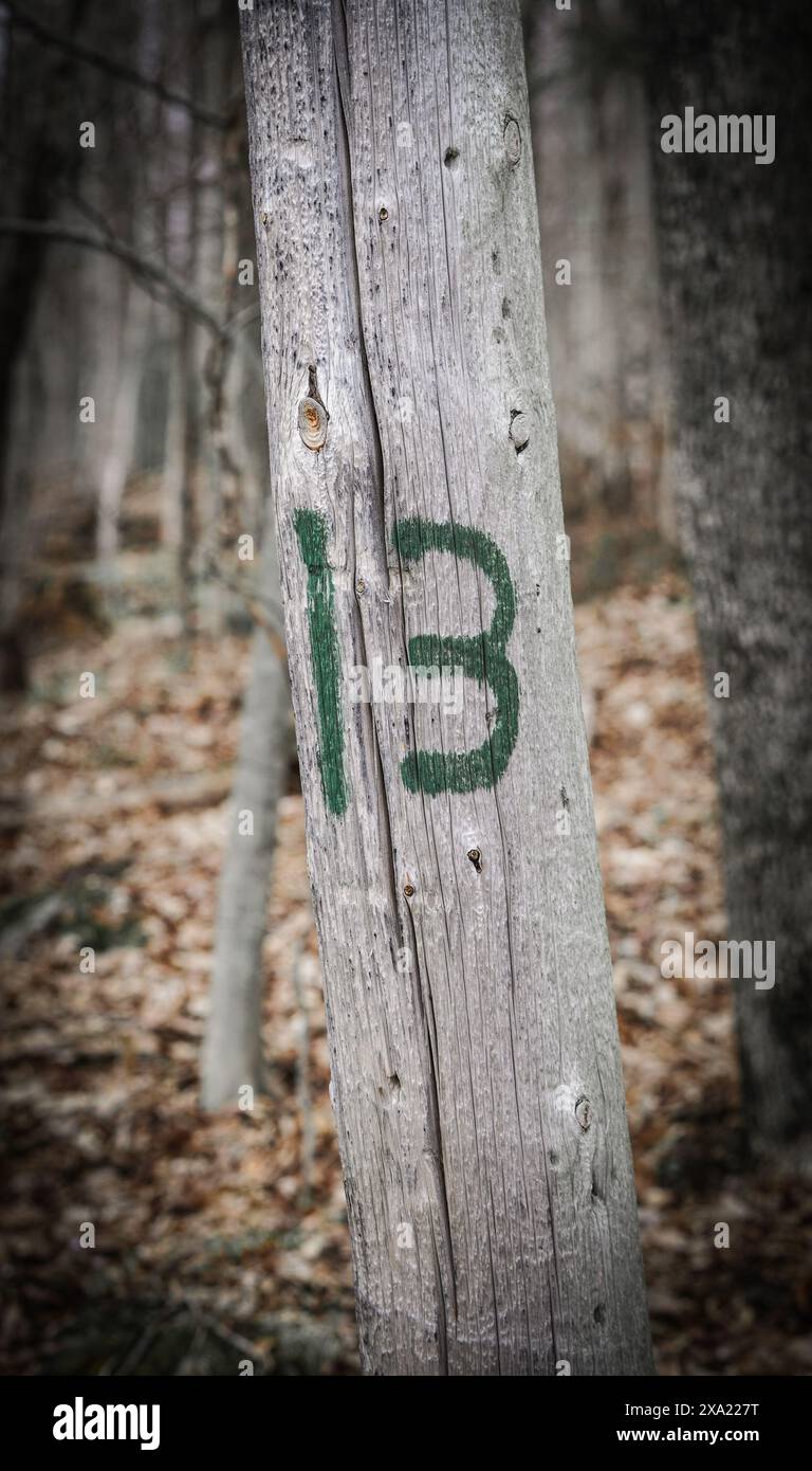 Il numero 13 era verniciato a spruzzo su un vecchio palo di legno. Foto Stock