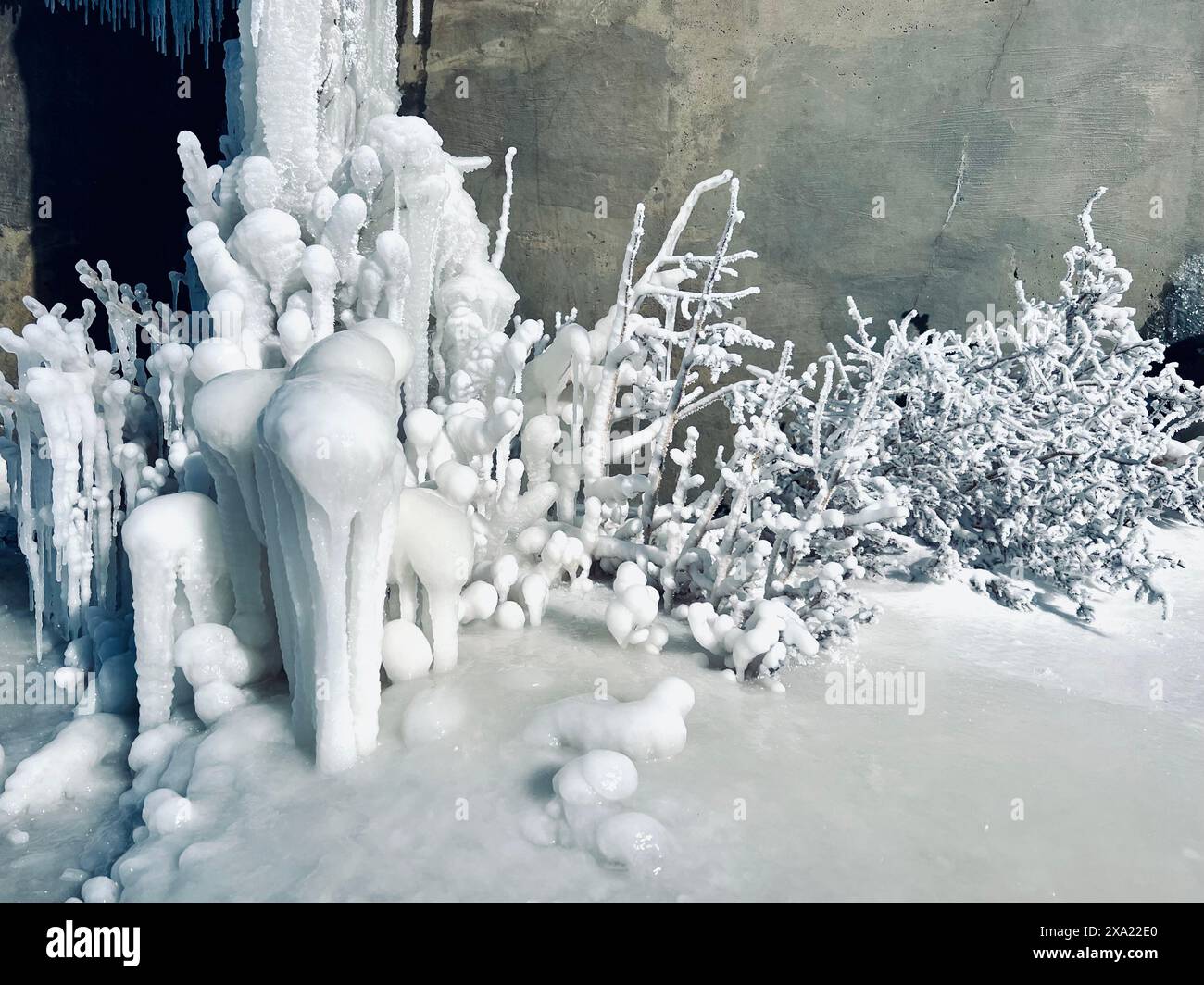 Rocce ghiacciate e piante ghiacciate ricoperte di neve Foto Stock