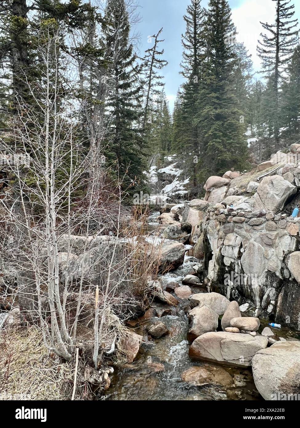 Rocce sulla riva di un torrente di montagna Foto Stock