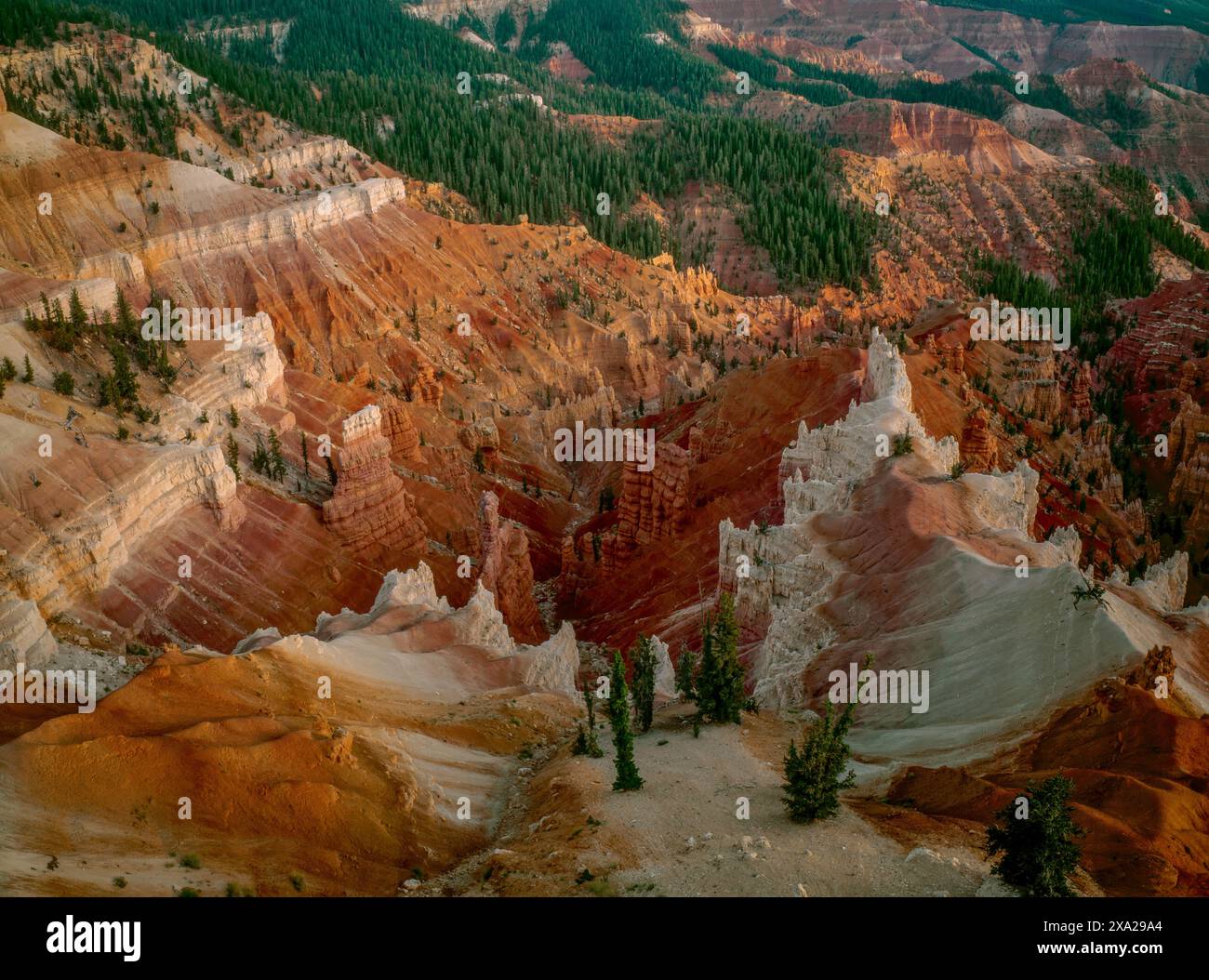 Formazioni di arenaria, Cedar Breaks National Monument, Utah Foto Stock