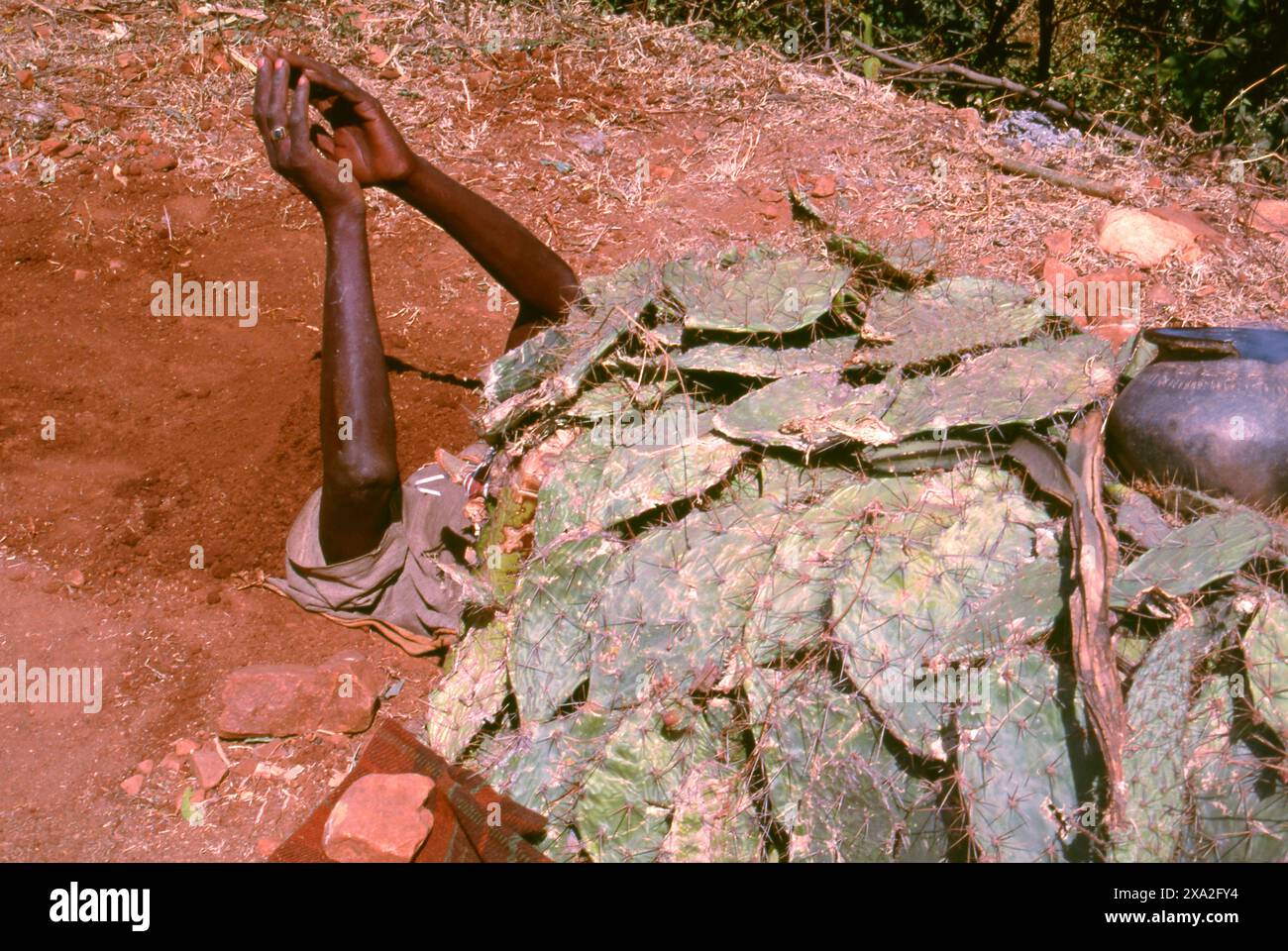 India: Un fakir o yogi con la testa sepolta nel terreno, Poornima Festival si tiene vicino al Tempio di Yellamma, Saundatti, Karnataka (1994). Ogni anno nel mese indù di Magh (gennaio - febbraio) più di mezzo milione di persone si radunano intorno al minuscolo tempio della dea Yellamma a Saundatti. Yellamma è la patrona dei devadasi o donne dedicate al servizio di una divinità o tempio. Foto Stock