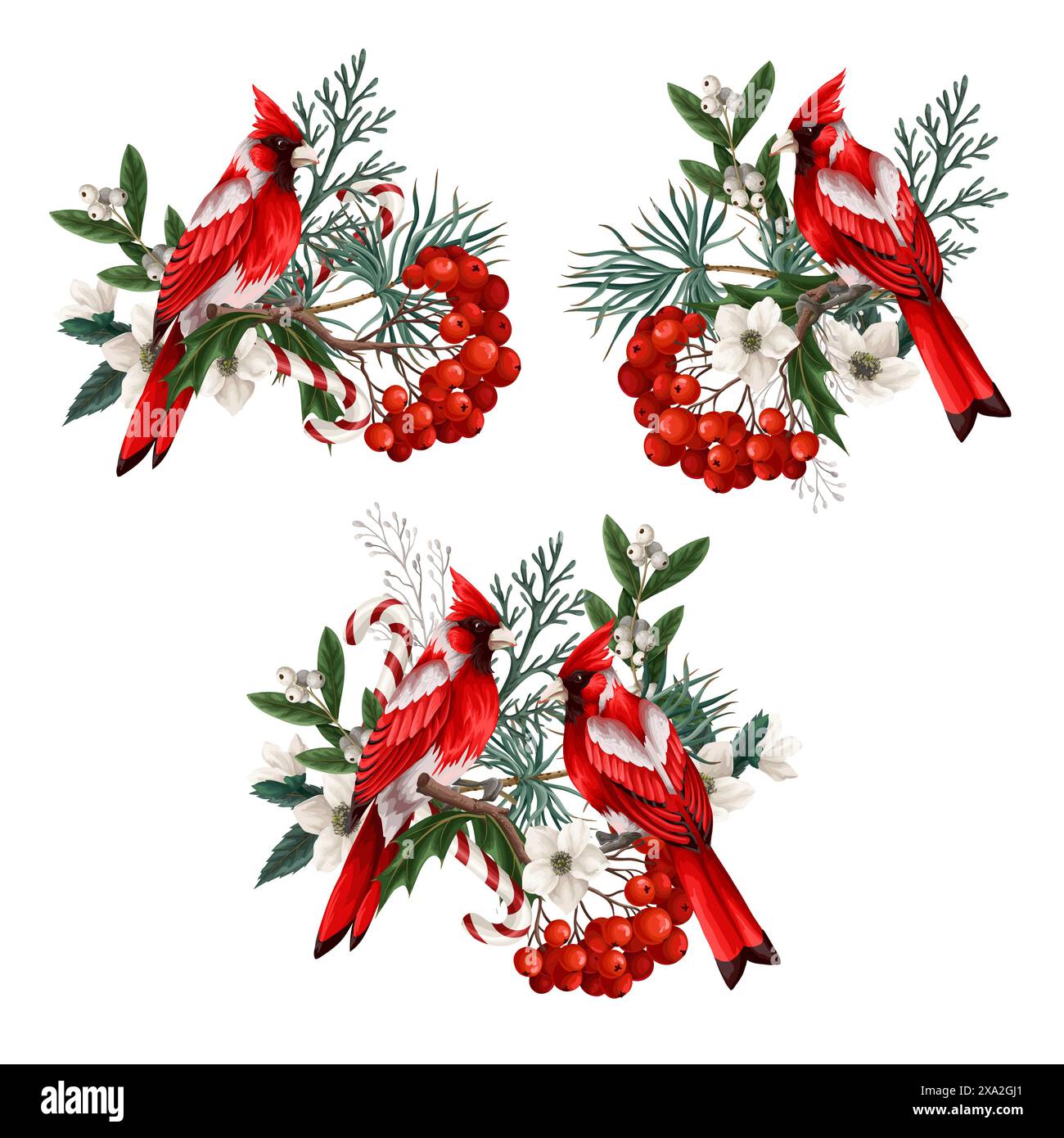 Elementi natalizi come abete, uccelli rossi, rowan isolato. Vettore. Illustrazione Vettoriale