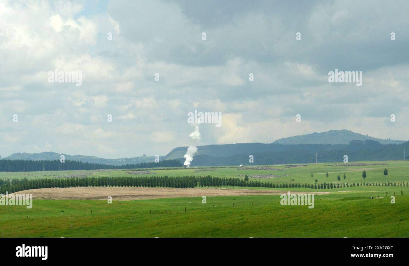 Paesaggi geotermici a Rotorua, nuova Zelanda. Foto Stock