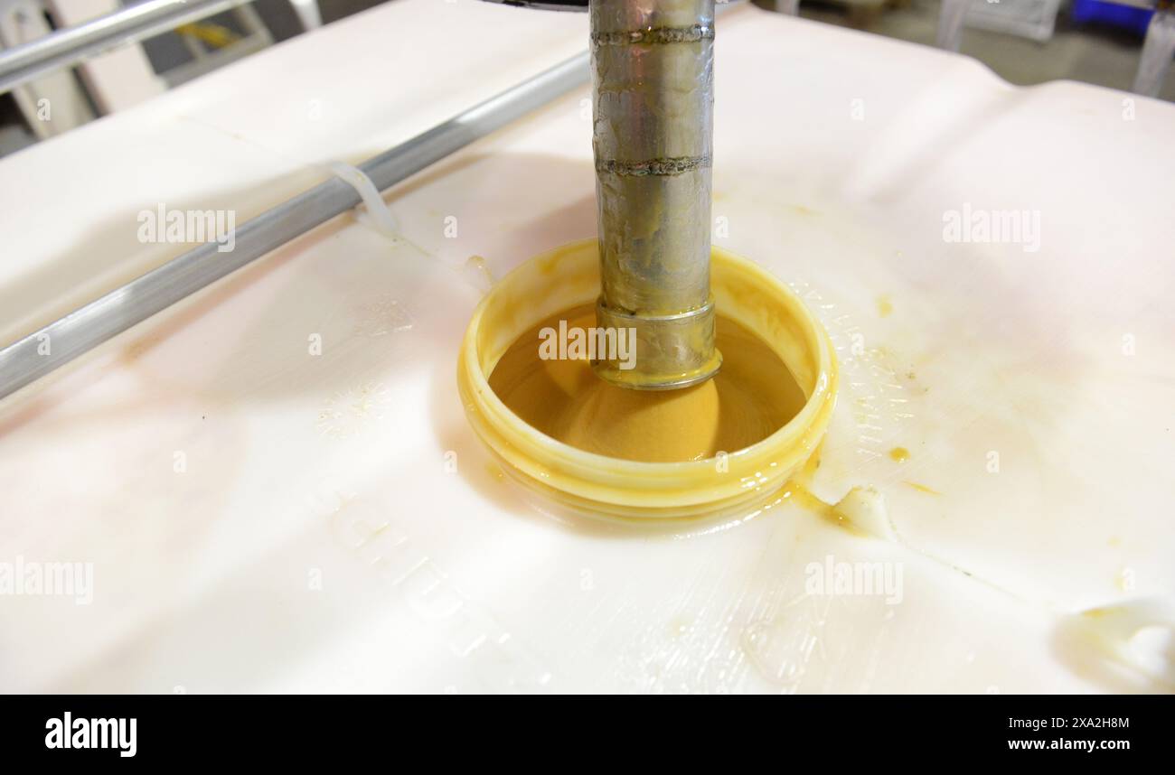 Manuka della produzione di miele in Nuova Zelanda. Foto Stock