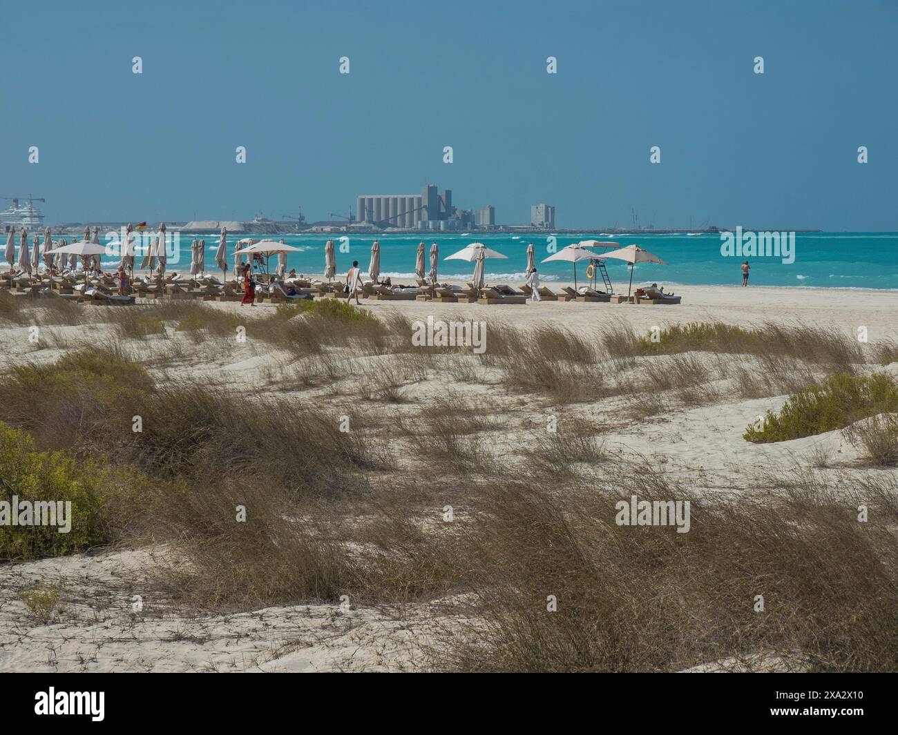 Vista di una spiaggia sabbiosa con molti ombrelloni e sdraio sul mare, edifici sullo sfondo, cielo senza nuvole, Abu Dhabi, Emirati Arabi Uniti Foto Stock