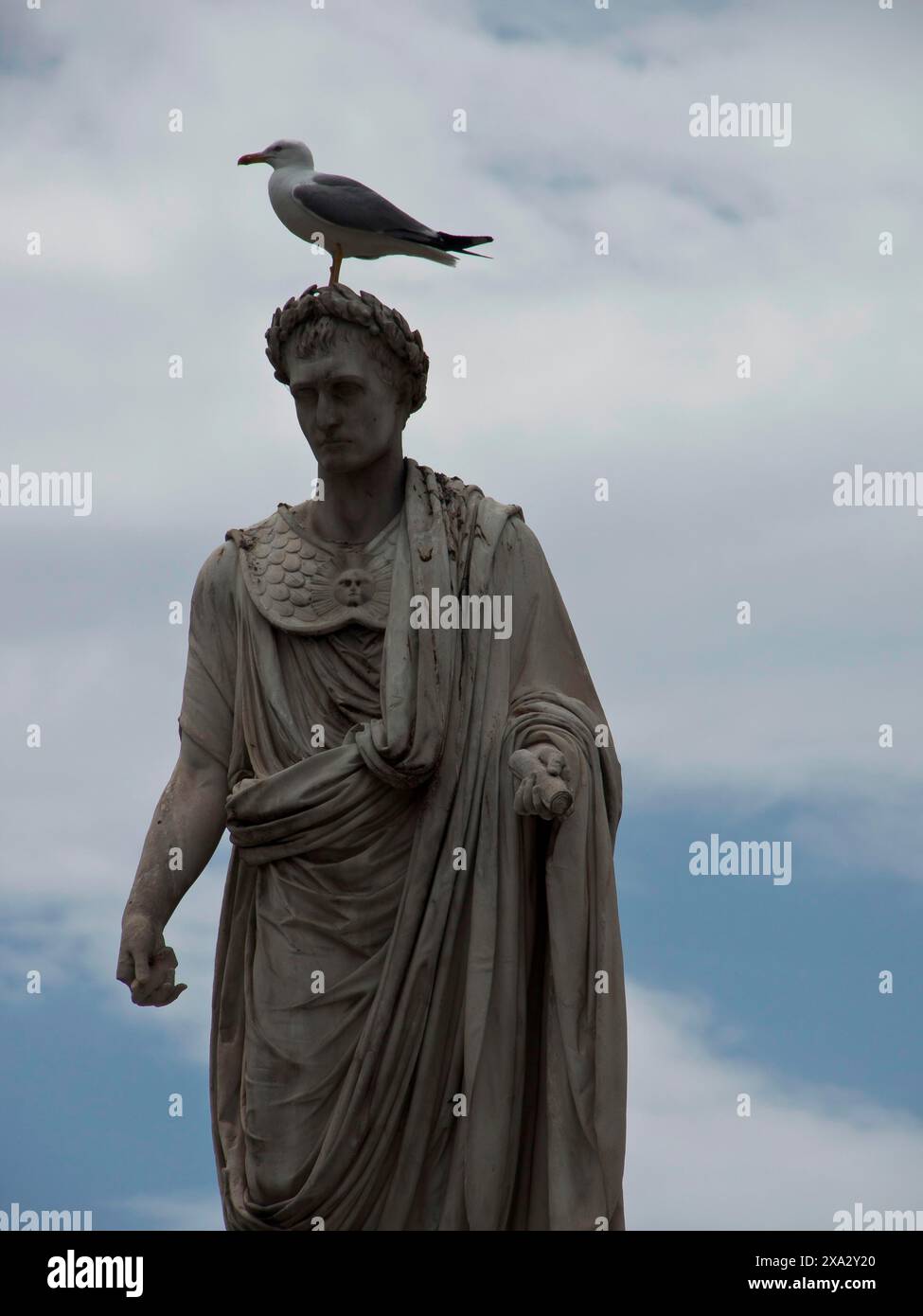 Antica statua con un gabbiano sulla testa di fronte a un cielo nuvoloso, Corsica, Ajaccio, Francia Foto Stock