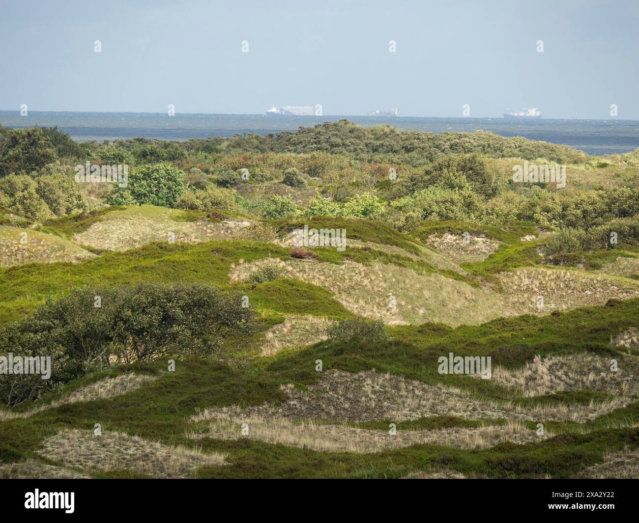 Paesaggio collinare con vegetazione fitta e mare sullo sfondo, natura estesa, Spiekeroog, Germania Foto Stock