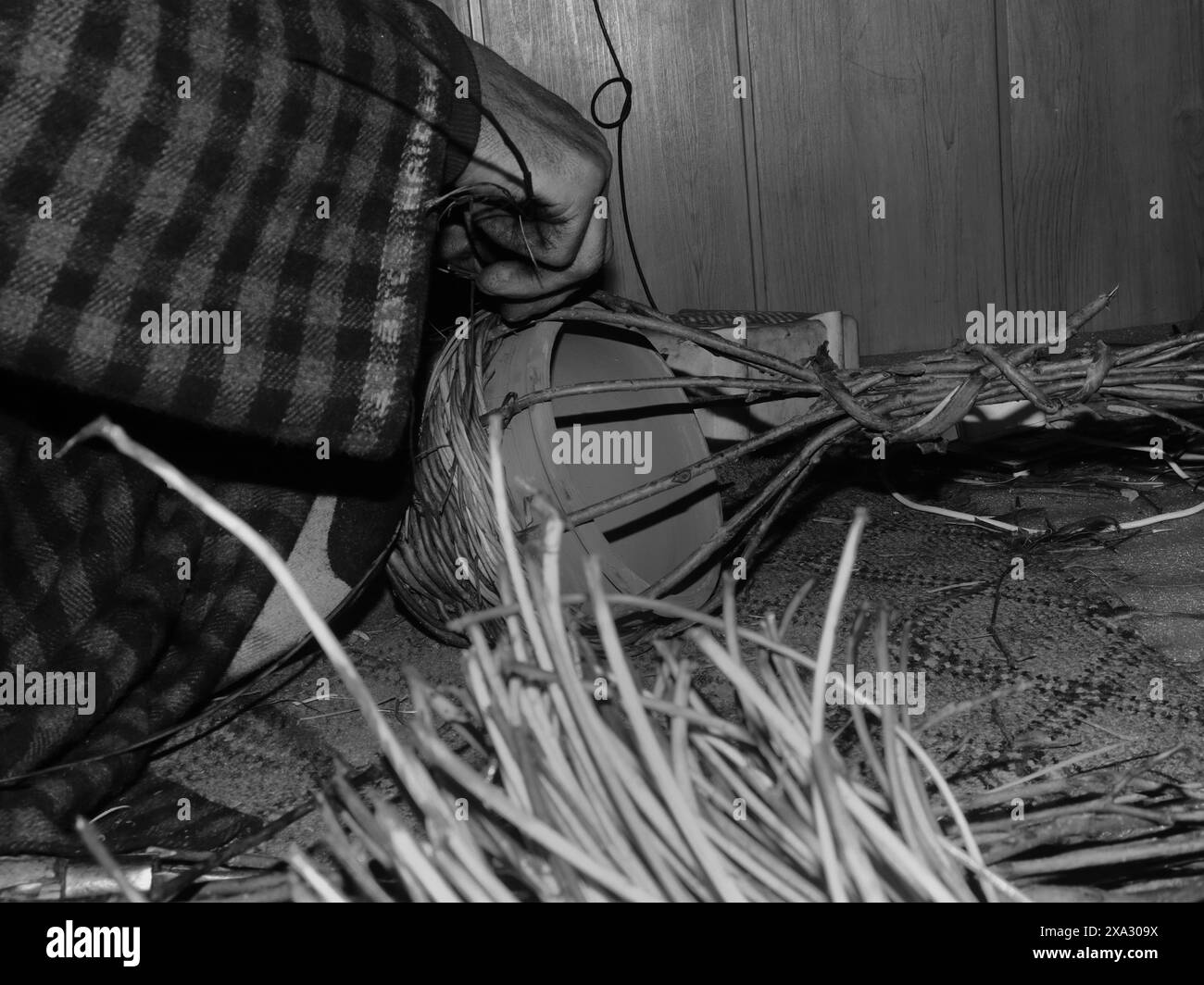 Primo piano di mani che tessono un cesto con materiali in vimini, mettendo in risalto una tecnica artigianale tradizionale, Jammu e Kashmir, India Foto Stock