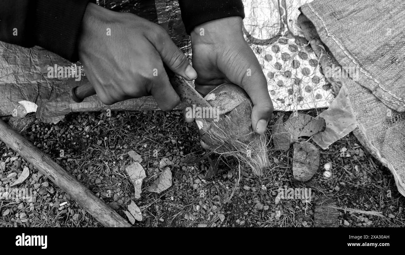 Mani che intagliano un guscio di cocco utilizzando strumenti tradizionali, mostrando attenzione ai dettagli nella lavorazione artigianale, Jammu e Kashmir, India Foto Stock