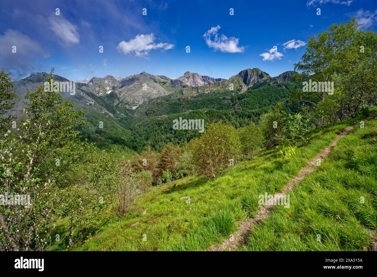 Sentiero escursionistico di fronte al panorama montano al passo Croce nel paesaggio montano della Garfagnana fino alle vette delle Alpi Apuane, Levigliane Foto Stock