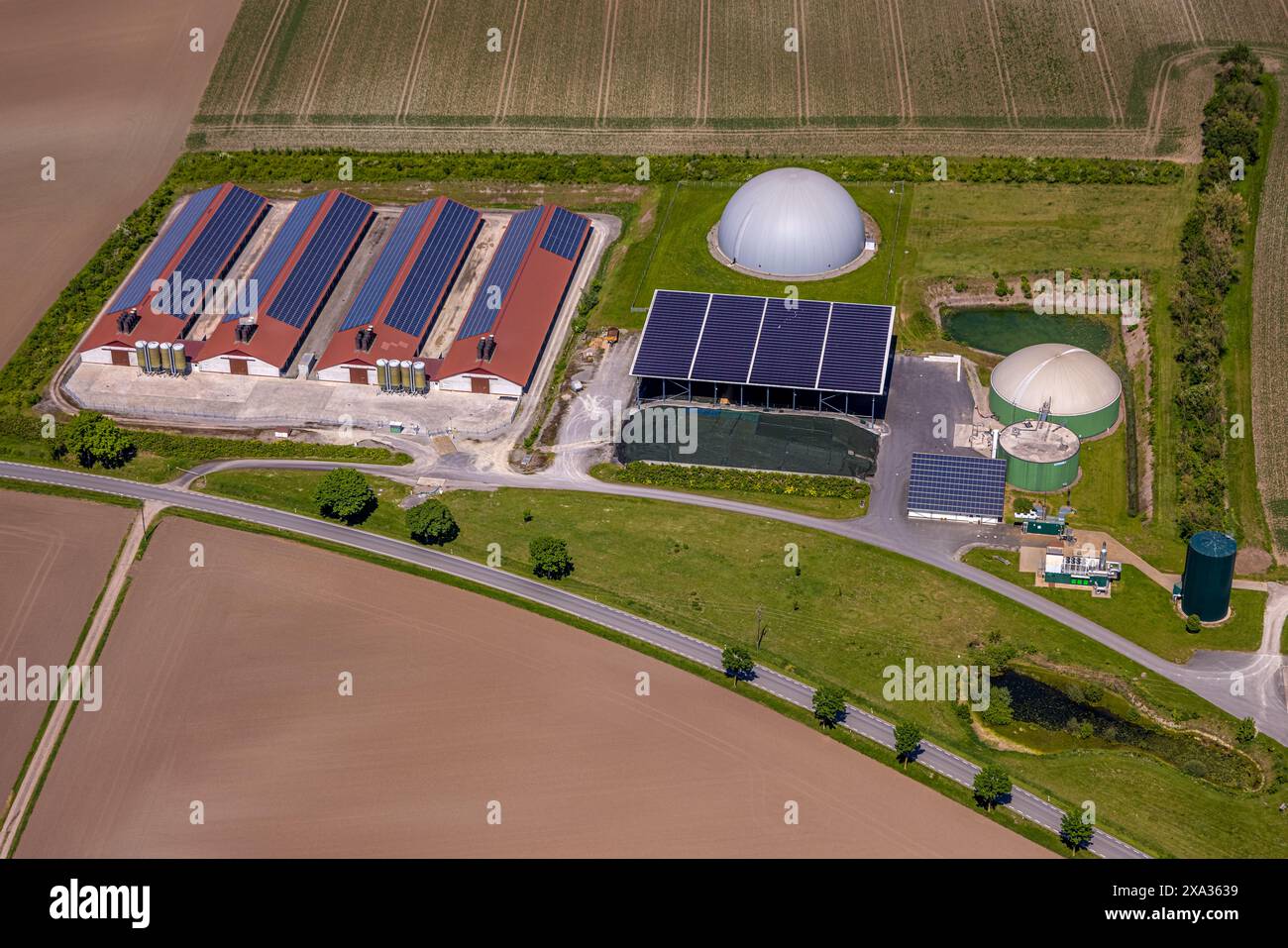 Vista aerea, impianto e fattoria di biogas con tetto solare, tenuta Gut Dinkelburg Graf von Westphalen, Dinkelburg, Borgentreich, Westfalia orientale, Renania settentrionale- Foto Stock