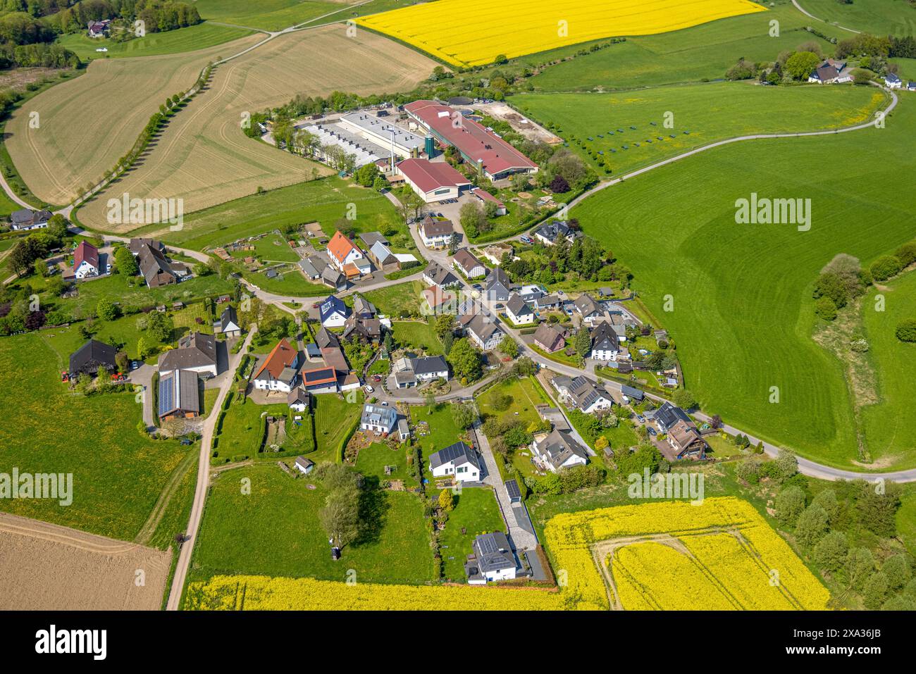 Foto aerea, azienda agricola Baumeister Frischei GmbH, Brenscheid, Breckerfeld, regione della Ruhr, Renania settentrionale-Vestfalia, Germania Foto Stock