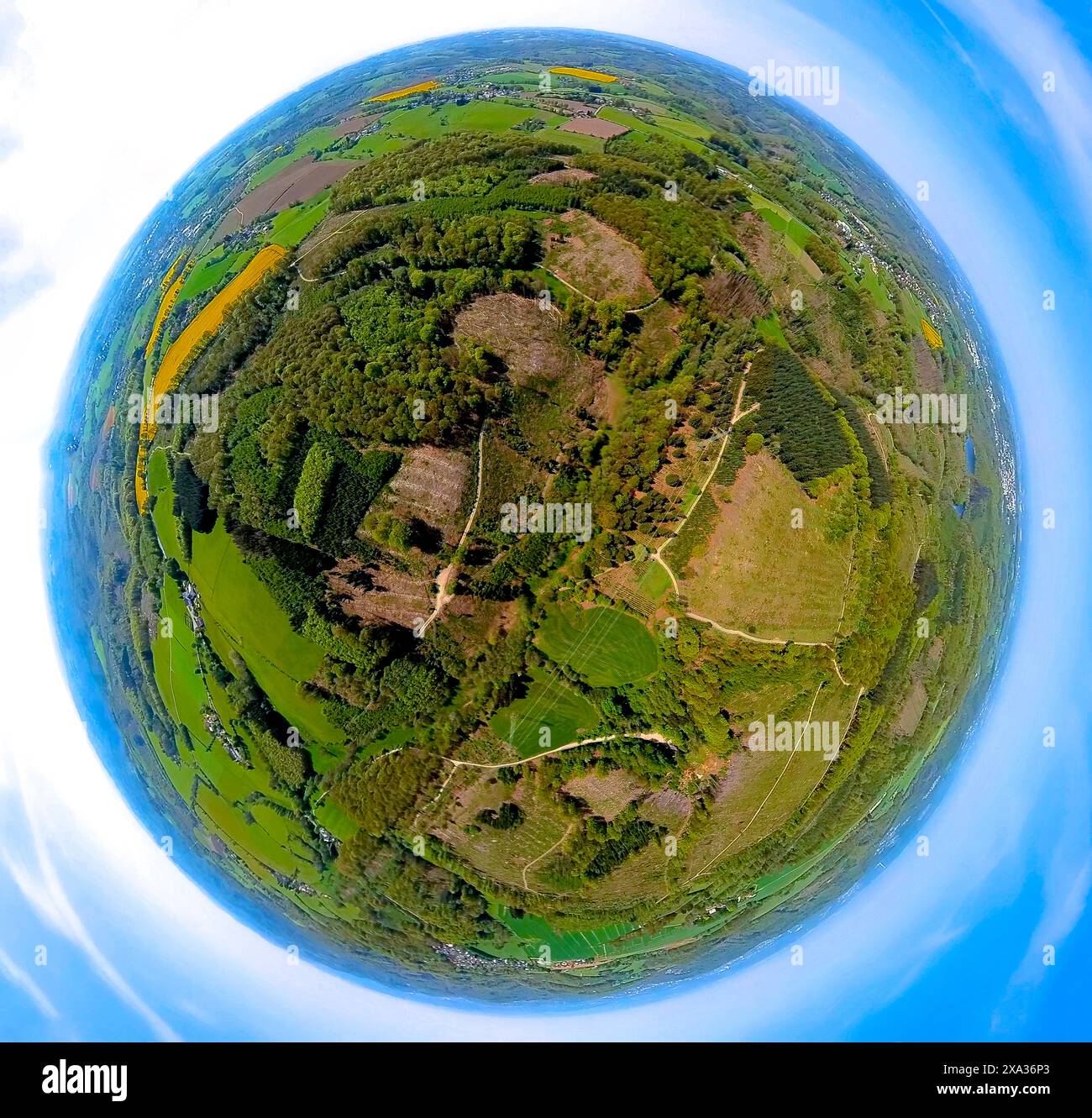 Vista aerea, Hasper Bach, area forestale con danni alla foresta, globo terrestre, immagine fisheye, immagine a 360 gradi, mondo minuscolo, piccolo pianeta, immagine fisheye, Zurs Foto Stock