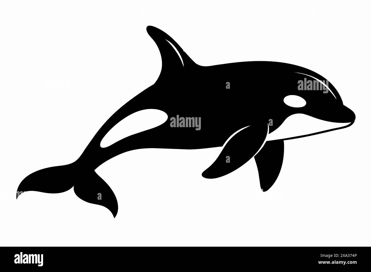 Silhouette nera di una balena assassina isolata su sfondo bianco. Concetto di animali marini selvatici, stile minimalista, mammiferi acquatici. Stampa, icona, logo, Illustrazione Vettoriale