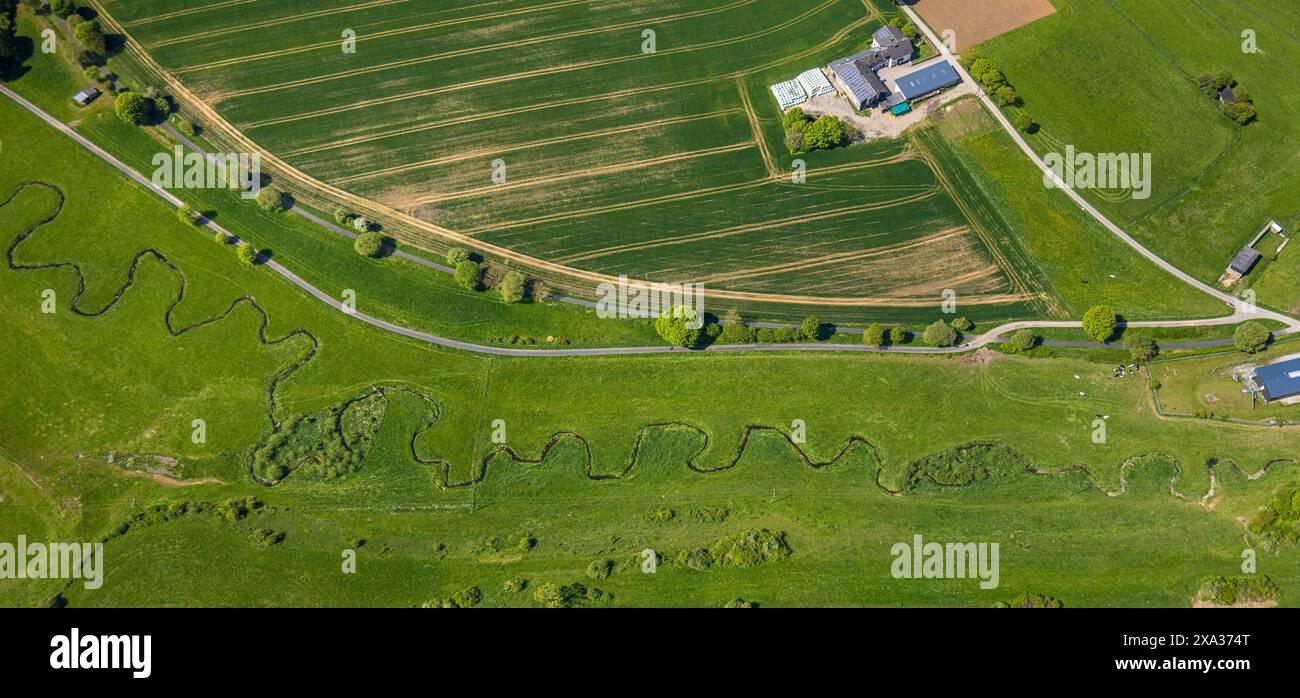 Fotografia aerea, fiume Hunderbecke, paesaggio naturale, fattoria Bernd Hilkenbach, Brilon, Sauerland, Renania settentrionale-Vestfalia, Germania Foto Stock