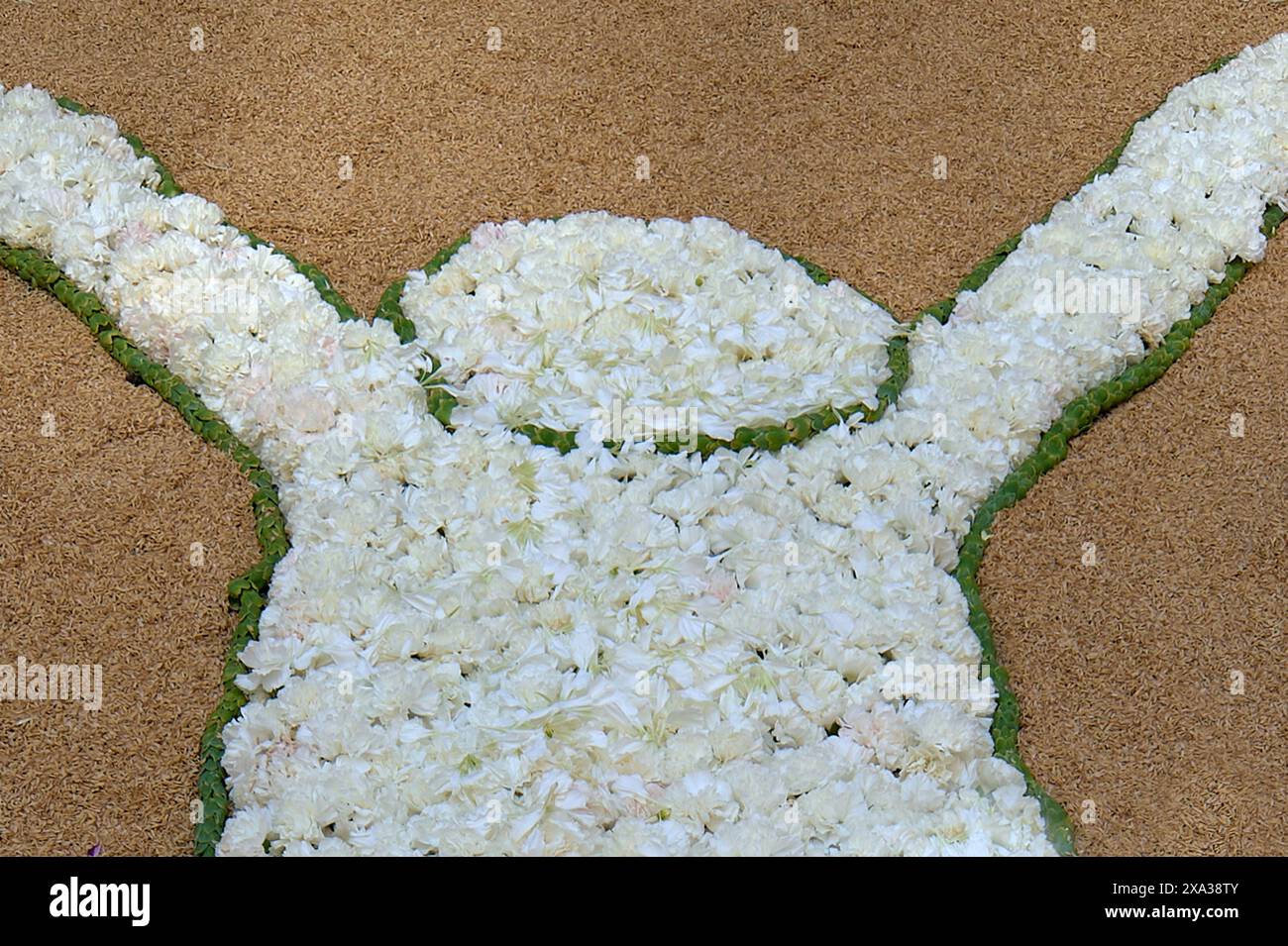 Figura maschile formata da fiori bianchi e foglie verdi su sfondo sabbioso, perfetta per decorazioni artistiche ed eventi a tema. Foto Stock