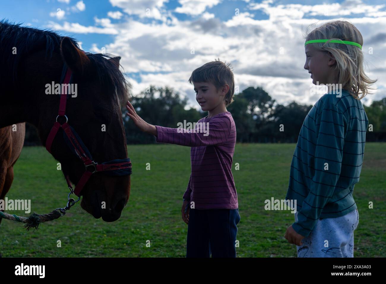 bambini di 8 anni accarezzano un cavallo in natura Foto Stock
