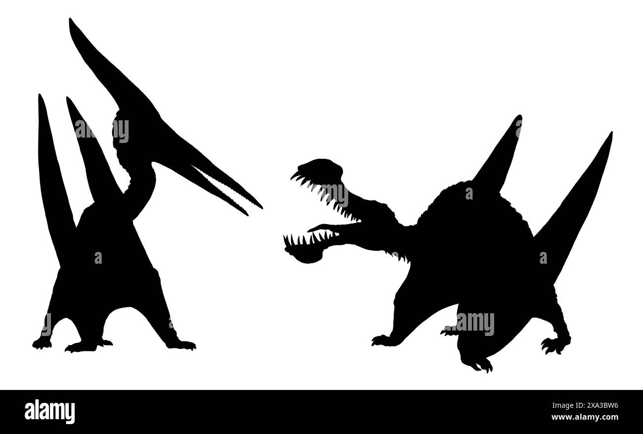 Silhouette nera di dinosauri volanti. Anhanguerra e pteranodon. Illustrazione dell'icona. Foto Stock