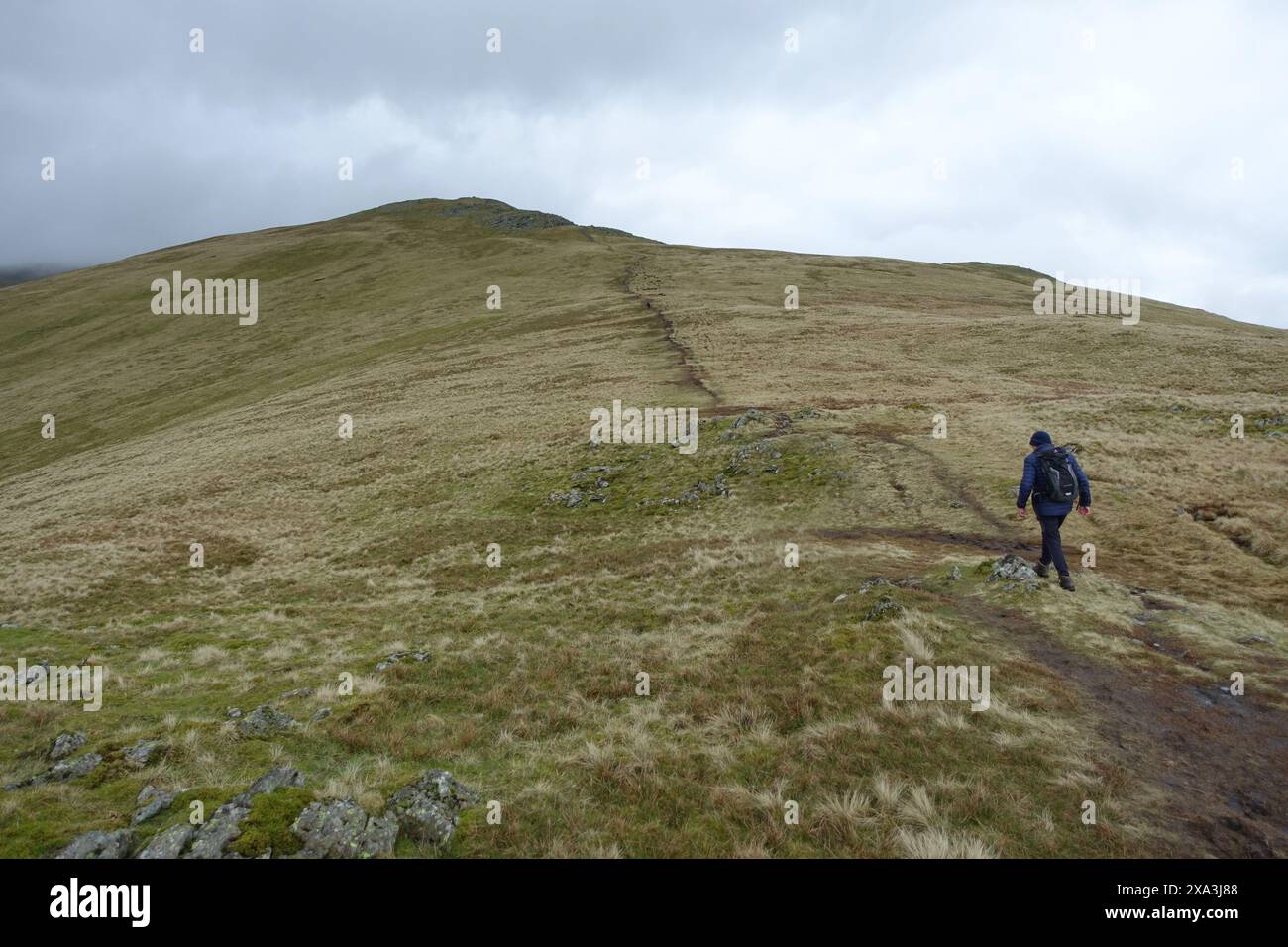 Man (escursionista) camminando fino alla vetta del "Great Rigg" di Wainwright sul Fairfield Horseshoe nel Lake District National Park, Cumbria, Inghilterra. Foto Stock
